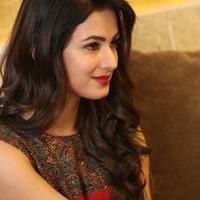 Sonal Chauhan at Dictator Movie Success Meet Stills | Picture 1208491