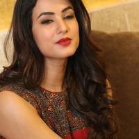Sonal Chauhan at Dictator Movie Success Meet Stills | Picture 1208493