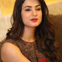 Sonal Chauhan at Dictator Movie Success Meet Stills | Picture 1208495