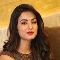 Sonal Chauhan at Dictator Movie Success Meet Stills | Picture 1208496