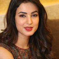 Sonal Chauhan at Dictator Movie Success Meet Stills | Picture 1208497