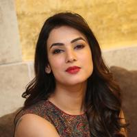 Sonal Chauhan at Dictator Movie Success Meet Stills | Picture 1208498