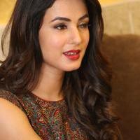 Sonal Chauhan at Dictator Movie Success Meet Stills | Picture 1208499
