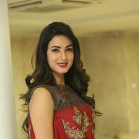 Sonal Chauhan at Dictator Movie Success Meet Stills | Picture 1208505