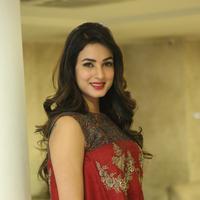 Sonal Chauhan at Dictator Movie Success Meet Stills | Picture 1208506