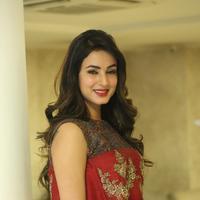 Sonal Chauhan at Dictator Movie Success Meet Stills | Picture 1208507
