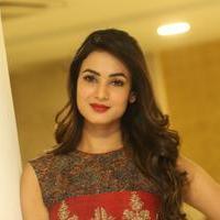 Sonal Chauhan at Dictator Movie Success Meet Stills | Picture 1208508