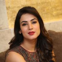Sonal Chauhan at Dictator Movie Success Meet Stills | Picture 1208509
