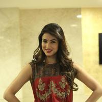 Sonal Chauhan at Dictator Movie Success Meet Stills | Picture 1208513