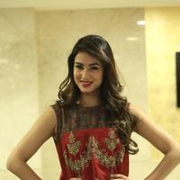 Sonal Chauhan at Dictator Movie Success Meet Stills | Picture 1208514