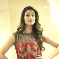 Sonal Chauhan at Dictator Movie Success Meet Stills | Picture 1208516