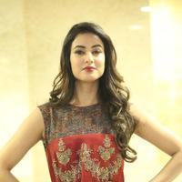 Sonal Chauhan at Dictator Movie Success Meet Stills | Picture 1208517