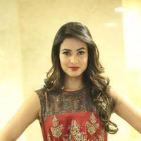 Sonal Chauhan at Dictator Movie Success Meet Stills | Picture 1208518