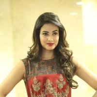 Sonal Chauhan at Dictator Movie Success Meet Stills | Picture 1208519