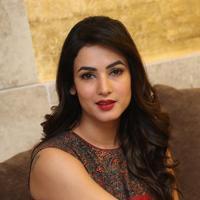 Sonal Chauhan at Dictator Movie Success Meet Stills | Picture 1208520