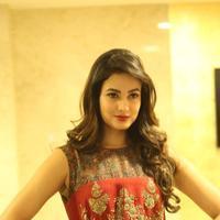 Sonal Chauhan at Dictator Movie Success Meet Stills | Picture 1208521