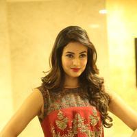 Sonal Chauhan at Dictator Movie Success Meet Stills | Picture 1208522