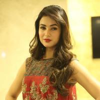 Sonal Chauhan at Dictator Movie Success Meet Stills | Picture 1208525