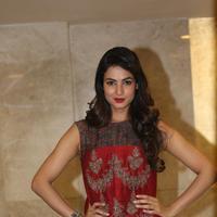 Sonal Chauhan at Dictator Movie Success Meet Stills | Picture 1208528
