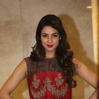 Sonal Chauhan at Dictator Movie Success Meet Stills | Picture 1208530