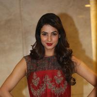 Sonal Chauhan at Dictator Movie Success Meet Stills | Picture 1208531
