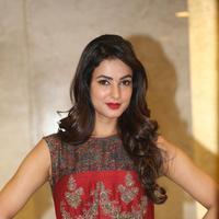 Sonal Chauhan at Dictator Movie Success Meet Stills | Picture 1208532
