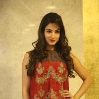 Sonal Chauhan at Dictator Movie Success Meet Stills | Picture 1208535