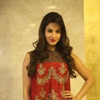 Sonal Chauhan at Dictator Movie Success Meet Stills | Picture 1208536
