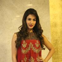 Sonal Chauhan at Dictator Movie Success Meet Stills | Picture 1208537