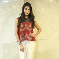 Sonal Chauhan at Dictator Movie Success Meet Stills | Picture 1208538