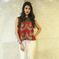 Sonal Chauhan at Dictator Movie Success Meet Stills | Picture 1208539