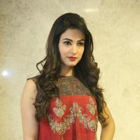 Sonal Chauhan at Dictator Movie Success Meet Stills | Picture 1208542