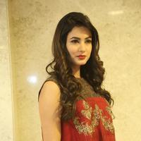 Sonal Chauhan at Dictator Movie Success Meet Stills | Picture 1208544