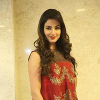 Sonal Chauhan at Dictator Movie Success Meet Stills | Picture 1208545