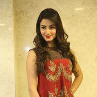 Sonal Chauhan at Dictator Movie Success Meet Stills | Picture 1208546