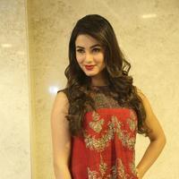 Sonal Chauhan at Dictator Movie Success Meet Stills | Picture 1208547