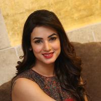 Sonal Chauhan at Dictator Movie Success Meet Stills | Picture 1208551