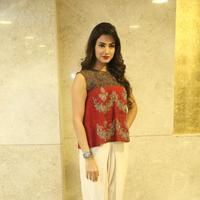 Sonal Chauhan at Dictator Movie Success Meet Stills | Picture 1208552