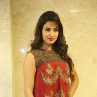 Sonal Chauhan at Dictator Movie Success Meet Stills | Picture 1208553