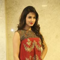 Sonal Chauhan at Dictator Movie Success Meet Stills | Picture 1208554
