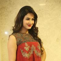 Sonal Chauhan at Dictator Movie Success Meet Stills | Picture 1208555