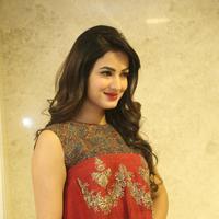 Sonal Chauhan at Dictator Movie Success Meet Stills | Picture 1208556