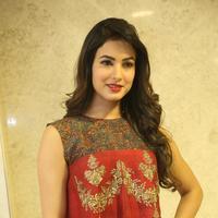 Sonal Chauhan at Dictator Movie Success Meet Stills | Picture 1208557