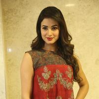Sonal Chauhan at Dictator Movie Success Meet Stills | Picture 1208559