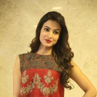 Sonal Chauhan at Dictator Movie Success Meet Stills | Picture 1208560