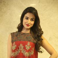 Sonal Chauhan at Dictator Movie Success Meet Stills | Picture 1208561