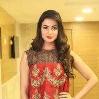 Sonal Chauhan at Dictator Movie Success Meet Stills | Picture 1208562