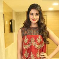 Sonal Chauhan at Dictator Movie Success Meet Stills | Picture 1208563