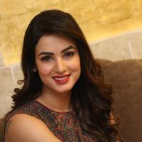 Sonal Chauhan at Dictator Movie Success Meet Stills | Picture 1208564