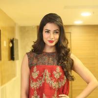 Sonal Chauhan at Dictator Movie Success Meet Stills | Picture 1208566